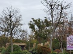 -上海长兴岛郊野公园