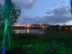 -洛龙公园
