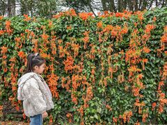-东莞植物园