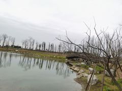 -白鹭湾湿地公园