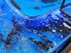 -永辉超市(嘉定宝龙广场店)