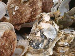 -前王院•巧克力海鲜市集餐厅(万平口店)