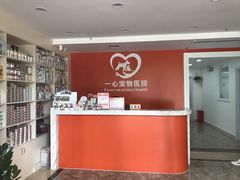 -创凡宠物医院·骨专科  猫科中心(西乡分院)