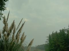 -艾溪湖湿地公园