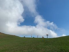 -大姆山草场