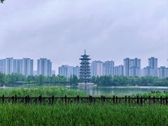 -洋湖国家湿地公园