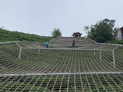 -长沙黑麋峰国家森林公园