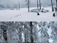 -瓦屋山景区