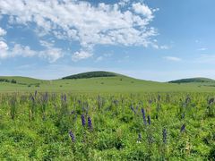 -塞罕坝国家级自然保护区