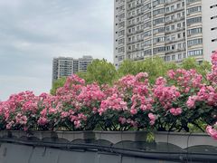 -BingoLand宾果体能中心(钱江新城店)