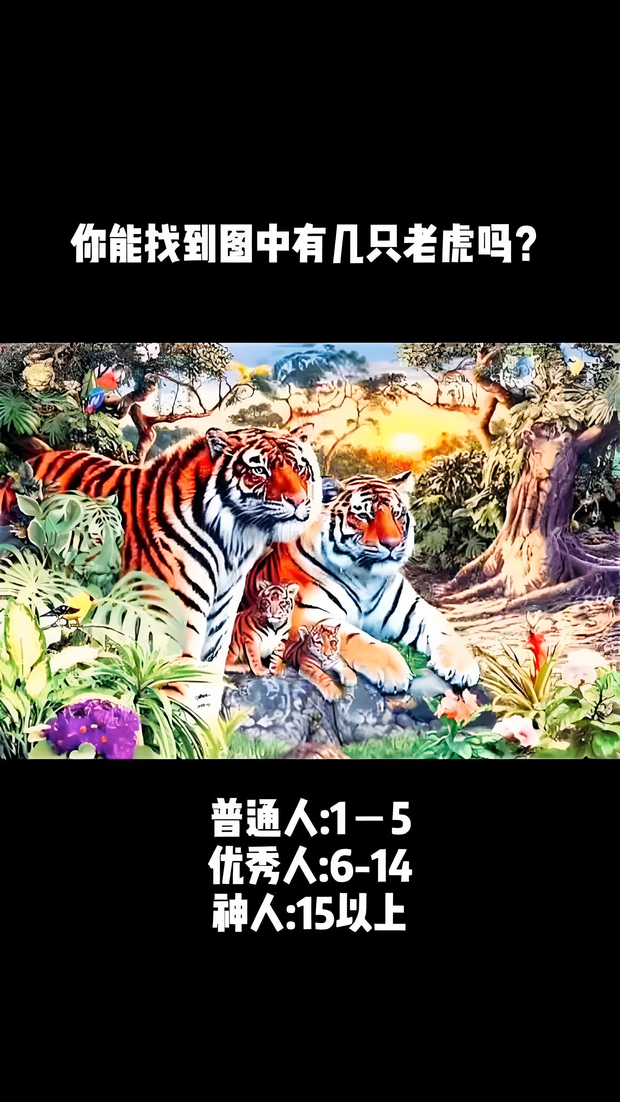薅羊毛啦|魏视优品助你找出15只以上老虎!