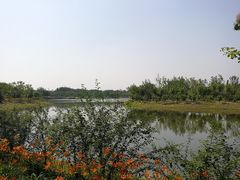 -东郊湿地公园