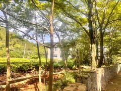 -木兰云雾山