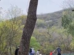 -白水寺森林公园