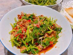香菜炒牛肉-壹盏灯(蚂蚁工房店)