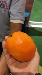 -幻贝家儿童乐园(苏州中心店)