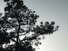 -重庆抗战遗址博物馆