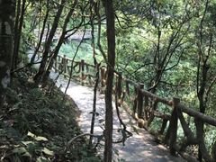 -修水东浒寨风景区