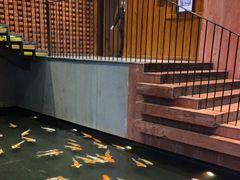 -顺丰国宴(工业博物馆店)