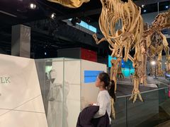 -墨尔本博物馆(Melbourne Museum)