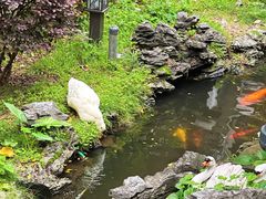 -北园酒家(小北路店)