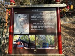-红螺寺