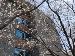 -金陵中学(河西分校)