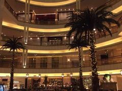 -上海大酒店(南京东路店)