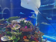 -成都浩海立方海洋公园