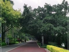 -南宁南湖公园
