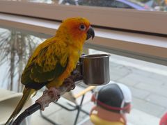 -Fulu Coffee福禄(花园城店)