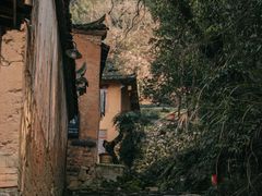 -杨家堂村
