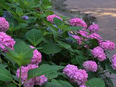 -常州古运河南大街文化旅游区-人民公园