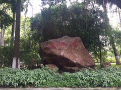 -南京医科大学(江宁校区)