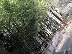 -陕拾叁(袁家村店)