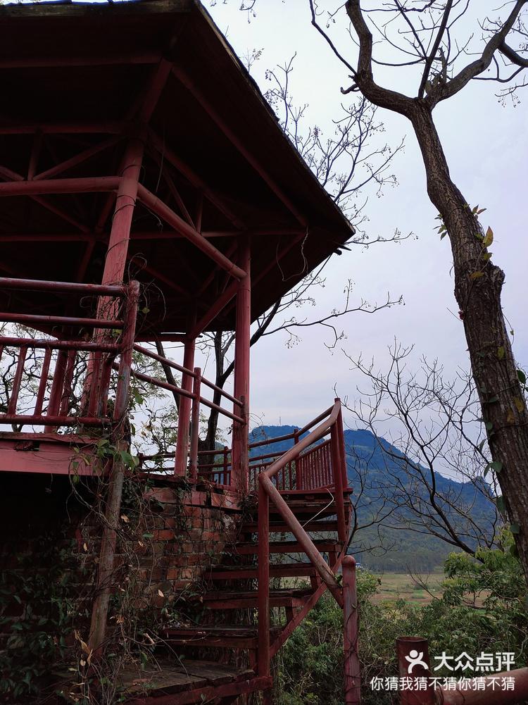 覃塘灵龟宝山门票图片