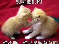 -火啫啫·粤式啫啫煲(南通首店)