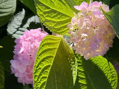 -北京石刻艺术博物馆(五塔寺)