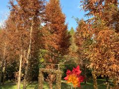 -溱湖国家湿地公园