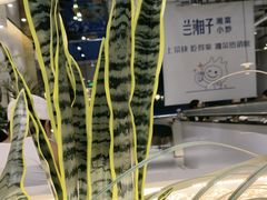 -兰湘子·湘菜小炒(崂山丽达店)