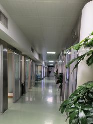 -应超小李飞刀整形