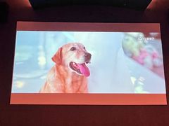 -涨巢·潮玩水疗局