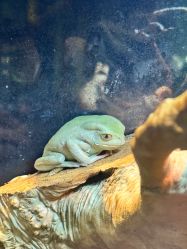 -Zoolung Zoolung动物主题公园(海信广场店)