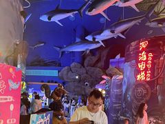 -烟台海昌鲸鲨海洋公园