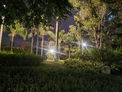 -东风公园