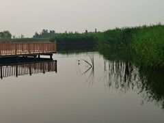 -白洋淀景区