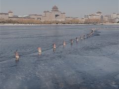 -莲花池公园