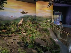 -陕西自然博物馆