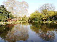 -西湖外事游船(花港观鱼码头)