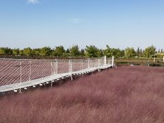 -嘉北郊野公园